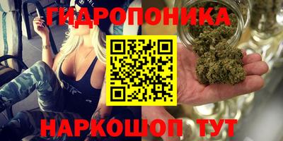 jwh Тулун