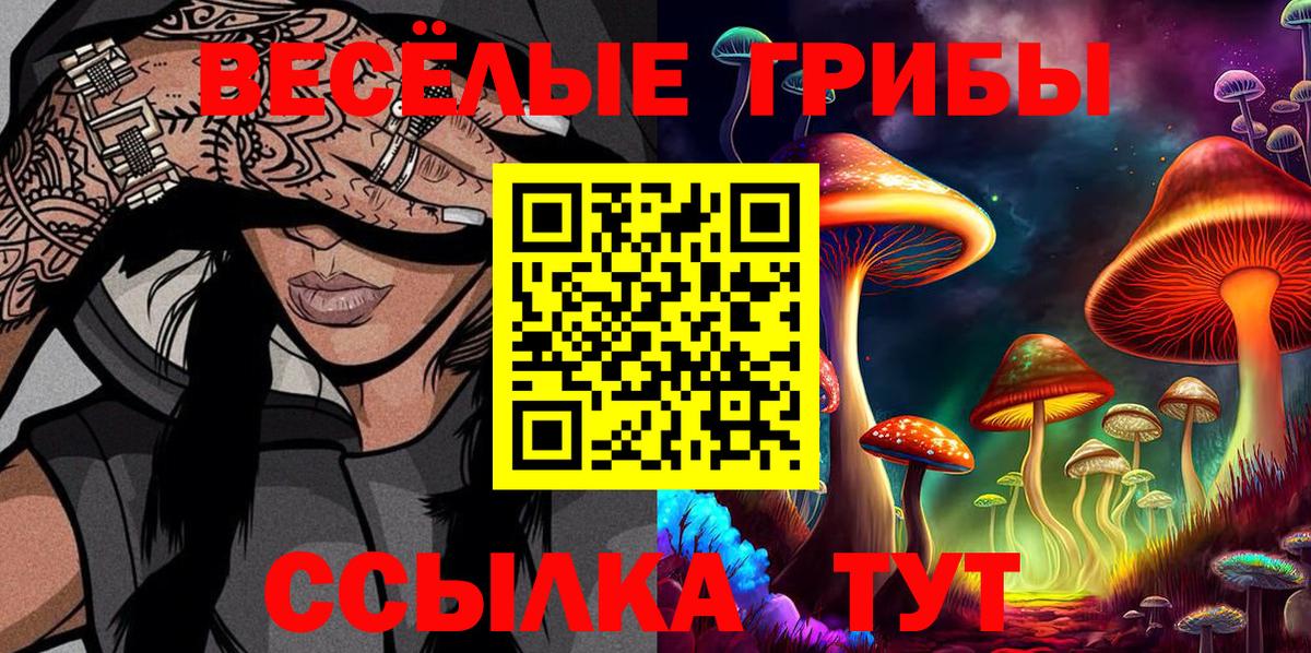 Псилоцибиновые грибы прущие грибы  Вход с VPN  где купить   Мыски 